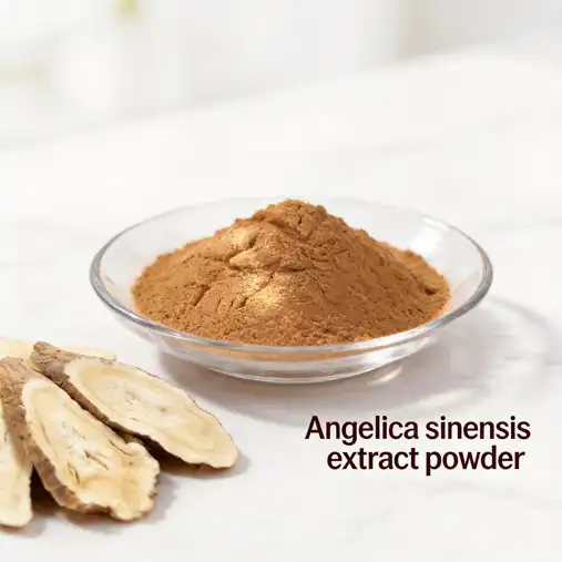 Why is Angelica sinensis extract powder popular in herbal supplement markets?